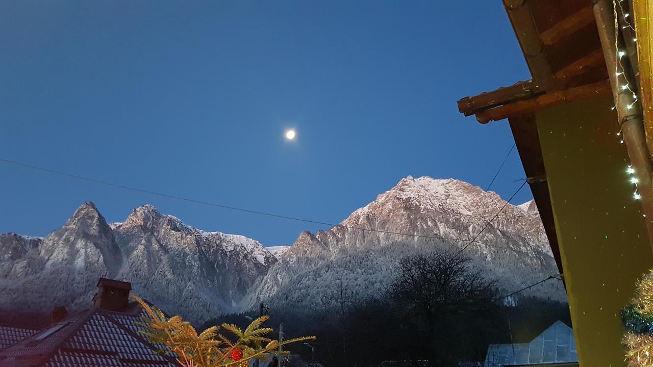 Casa David Hotel บุชเตนี ภายนอก รูปภาพ